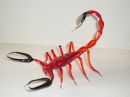 scorpion