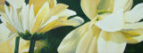 ALL IN YELLOW