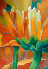 CHRYSANTH