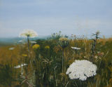 MEADOW