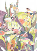 Australian Flowers