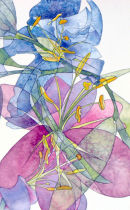 Lilies 2