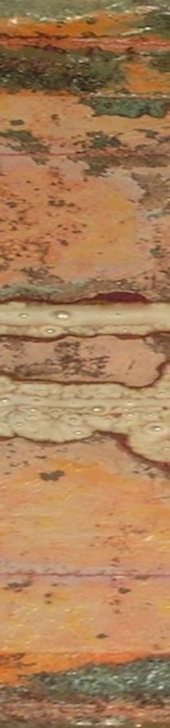 closeup3