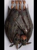 LoveBats