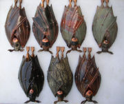 Individual Bats