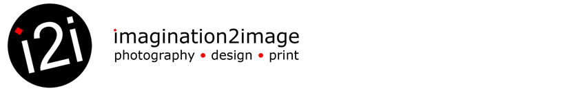 i2i imagination2image