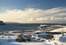 We don't get much snow, but when we do, it's spectacular...