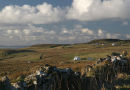 ......and a little further along, Upper Halistra and the road to Carnach