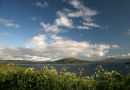 The view back down Lochbay from Ardmore