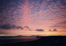 ......than a generous dram of Talisker, our local brew..........