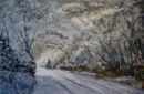 Burtons Lane in the Snow