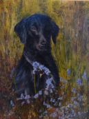 "Maple" in the bluebells