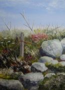 Scilly Hedgerow