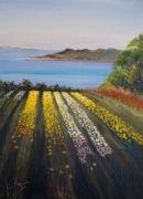 Scilly Bulb Field