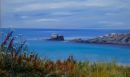 Jacks and Cow Parsley, Bryher