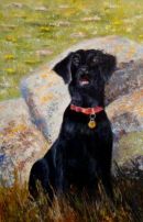 "Maple" on Bryher, Scilly
