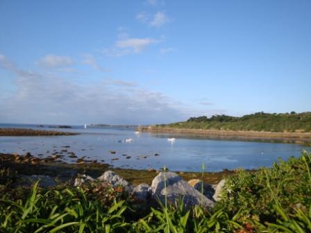 The view from the cottage