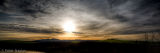 A trip to Herrington Country Park looking for interesting photos