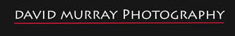 David Murray Photography