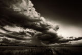 Norfolk Landscape