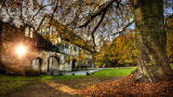 Museum Gardens
