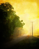 Textured Road