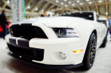Mustang III