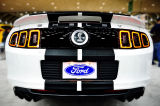 Mustang IV