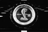 Shelby I