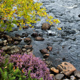 August Palette, Northern Highlands, Scotland