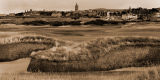 Bunker, Old Course, St. Andrews (sepia)