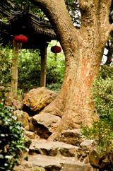 Red Lantern Path #1, Suzhou, China