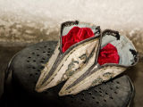 Lilly Slippers, Suzhou, China