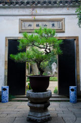 Bonsai Gate, Suzhou, China