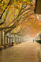 Autumn Walk, Xi'an, China