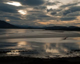 Drama: Dornoch Firth, Scotland
