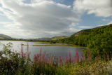 Loch Fleet, Sutherland, Scotland