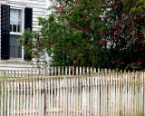 Madison Fence