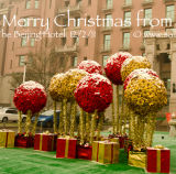 Merry Christmas from Beijing, 2011
