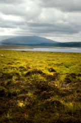 That Special Light, the Northern Highlands, Scotland