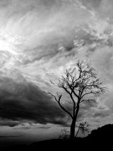 Who Art in Heaven, Black and White, Tasmania
