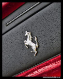 Ferrari Prancing horse badge