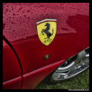 Red Ferrari front wing with badge