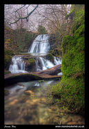 Janets Foss 2012