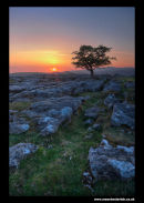 Winskills tree sunset