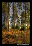 Centre Parcs Whinfell Forest Cumbria