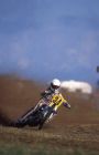 Steven Bishop, 1995