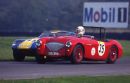Robert Mills, 2660cc Austin Healey, Snetterton, 1994