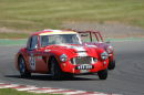 William Darling, Austin Healey, Snetterton, 2006