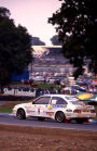 D Gillanders & K Rees, 1989